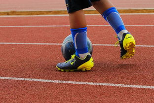 乐鱼体育官网登录-中国青少年篮球运动员体能素质发展规律，我国篮球青少年运动发展现状